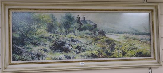 David Hunt (20th/21st Century) Rocks Barr in Summer 36 x 110cm